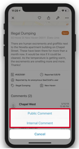 public or internal comment option.